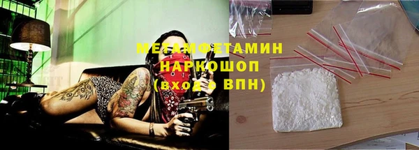 индика Алзамай