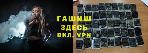индика Алзамай