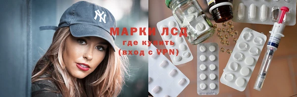 индика Алзамай