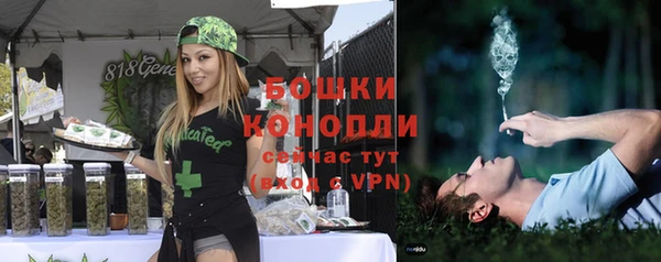 ПСИЛОЦИБИНОВЫЕ ГРИБЫ Алексеевка