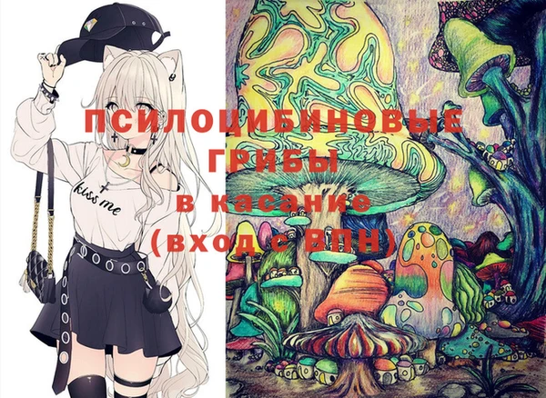 индика Алзамай
