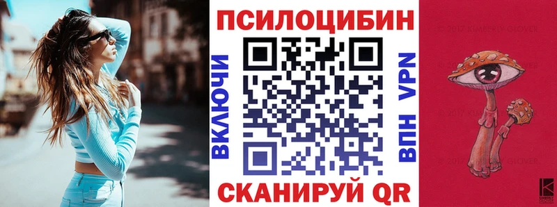наркотики  Андреаполь  Галлюциногенные грибы Psilocybine cubensis 